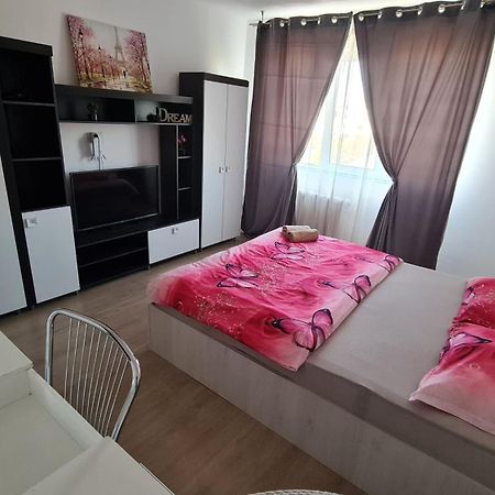 Appartamento Garsoniera 30Mp Chrysflatty1 - Free Netflix Arad Esterno foto