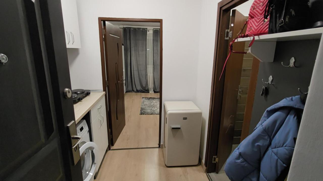 Appartamento Garsoniera 30Mp Chrysflatty1 - Free Netflix Arad Esterno foto