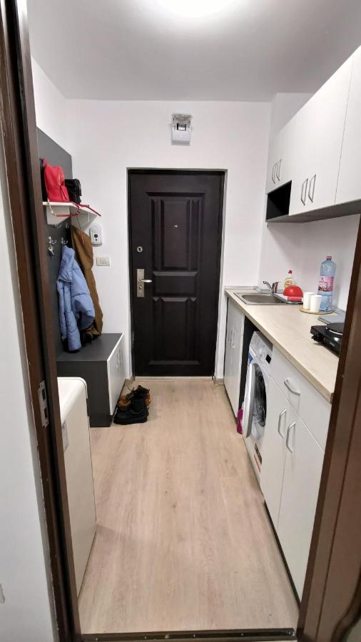 Appartamento Garsoniera 30Mp Chrysflatty1 - Free Netflix Arad Esterno foto