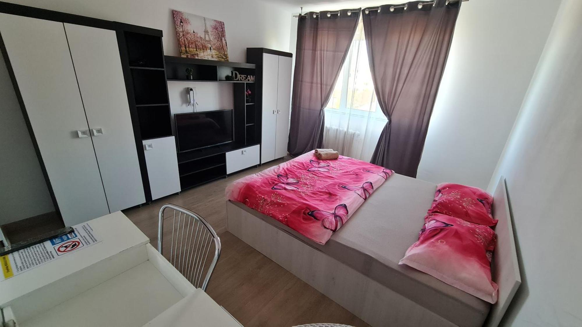 Appartamento Garsoniera 30Mp Chrysflatty1 - Free Netflix Arad Esterno foto
